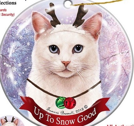 White Cat Up to Snow Good